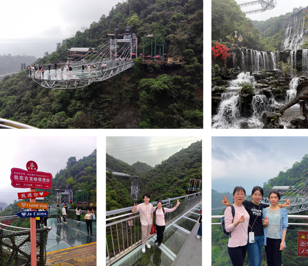 IMG_20250419_150748.jpg IMG_20250419_150748.jpg